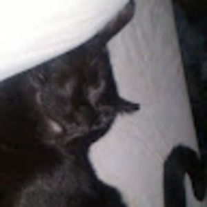 Meet your Posher, Ajax